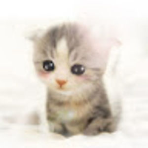 Meet your Posher, Becky